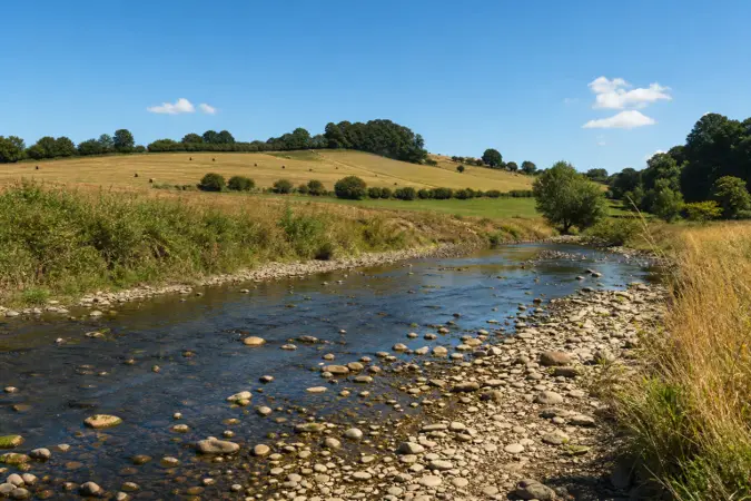 A shallow UK river with exposed stones and dry grass along its banks during a sunny summer dry spell.